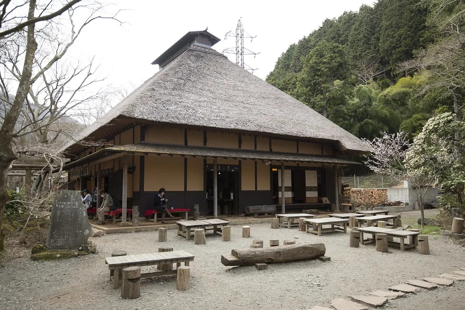 A teahouse with a tall thatched roof, with wooden benches in the yard in front and forest behind