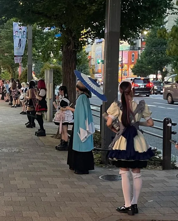 Café staff in maid costumes standing along an Akihabara pavement, seen from behind