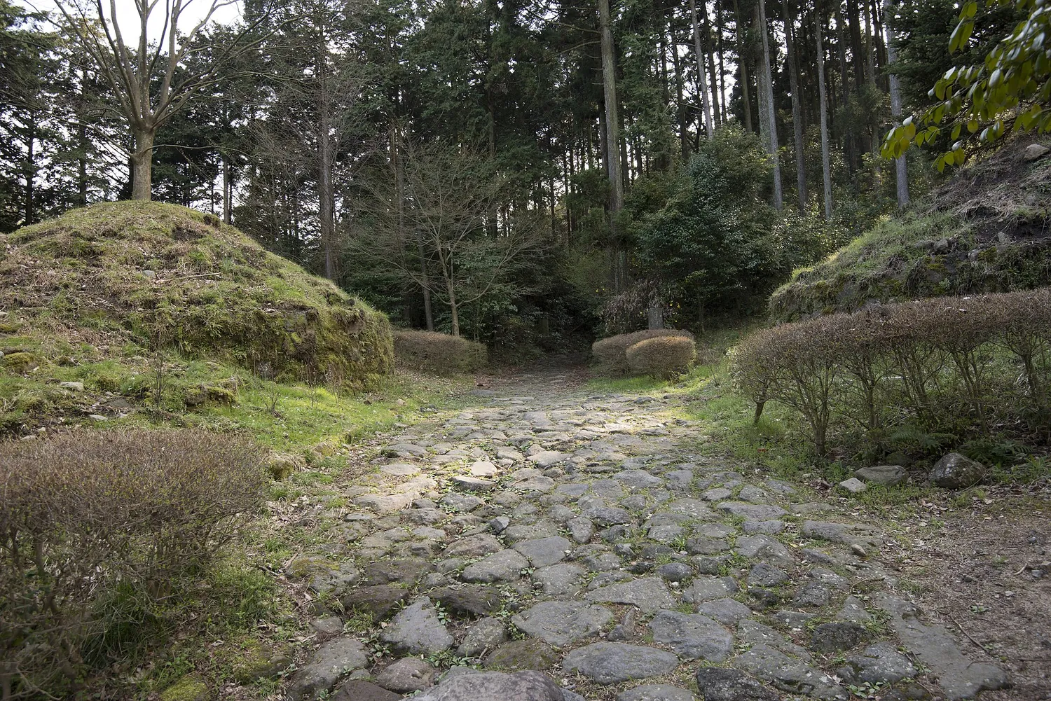 A path of large, uneven stones running between banks of grass under tall trees