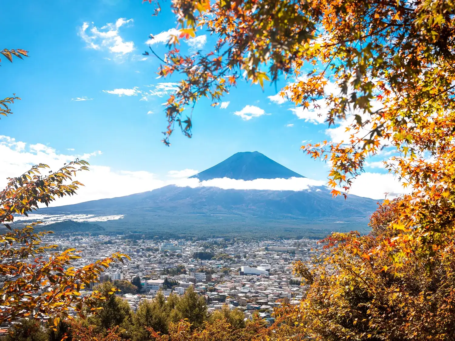 Mount Fuji rising beyond the spread-out town of Fujiyoshida, framed by autumn leaves