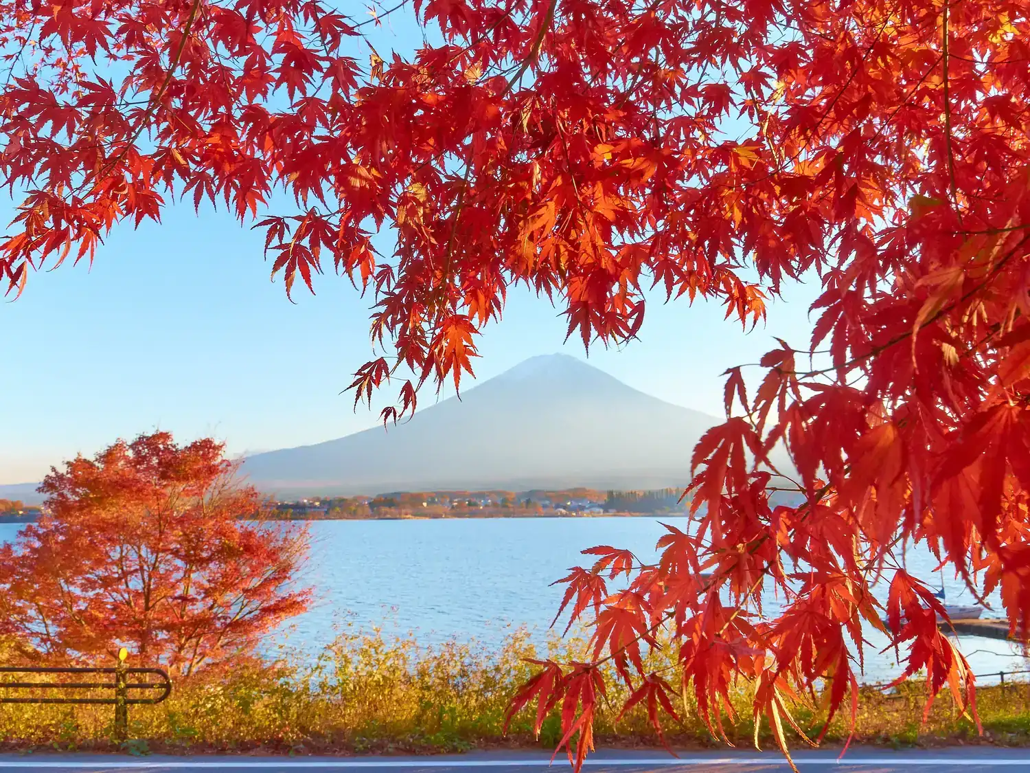 Red maple leaves framing Lake Kawaguchi with Mount Fuji on the horizon