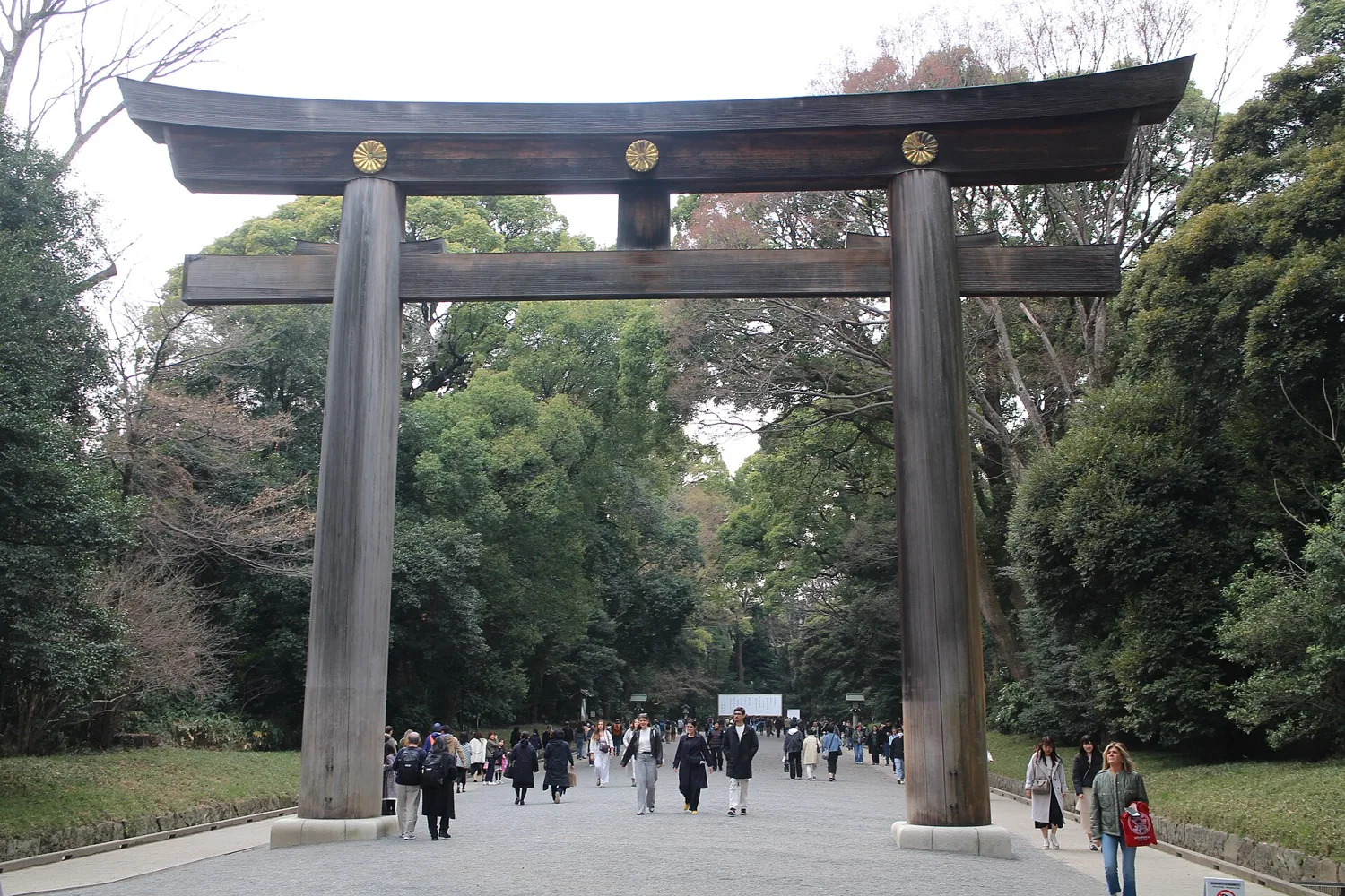 The huge wooden great torii of Meiji Shrine seen from the approach, with visitors walking beneath it