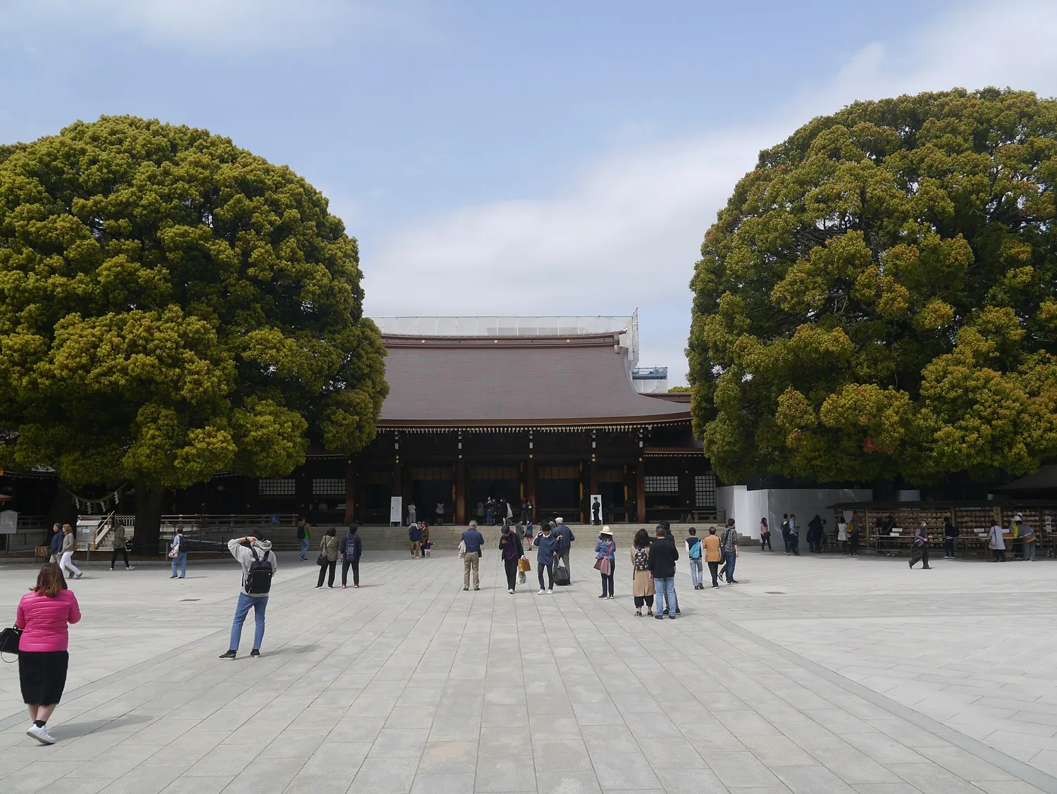 The worship hall of Meiji Shrine seen across a wide courtyard between two large trees