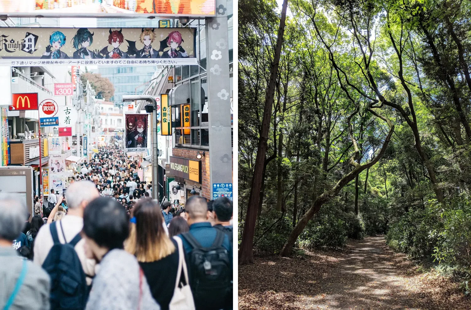 Two photos side by side: a dense crowd on Takeshita Street under colorful shop signs, and an earth path covered with fallen leaves under tall trees in the Meiji Shrine forest