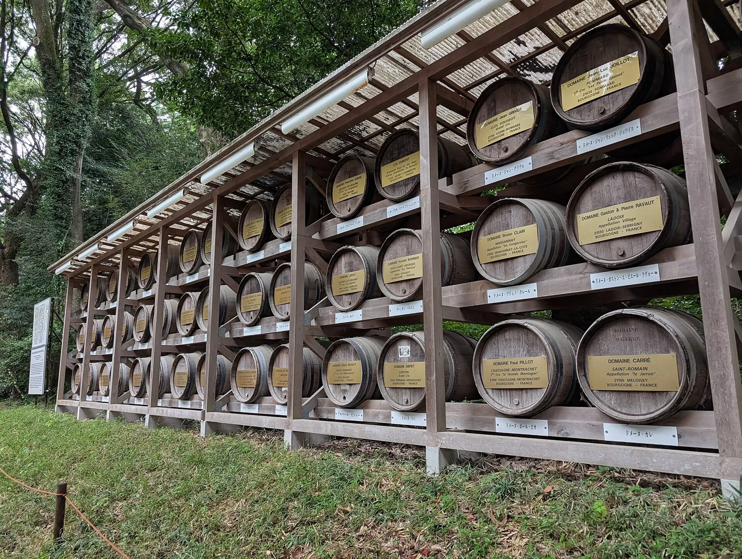 Wine barrels offered to Meiji Shrine, stacked on a wooden rack with yellow plates, under the trees