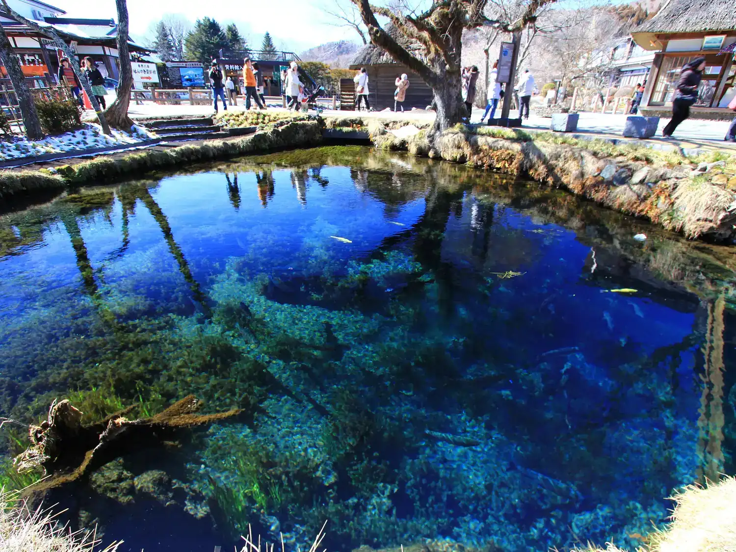 Clear, deep blue water in Wakuike, with green water plants on the bottom and a stone edge