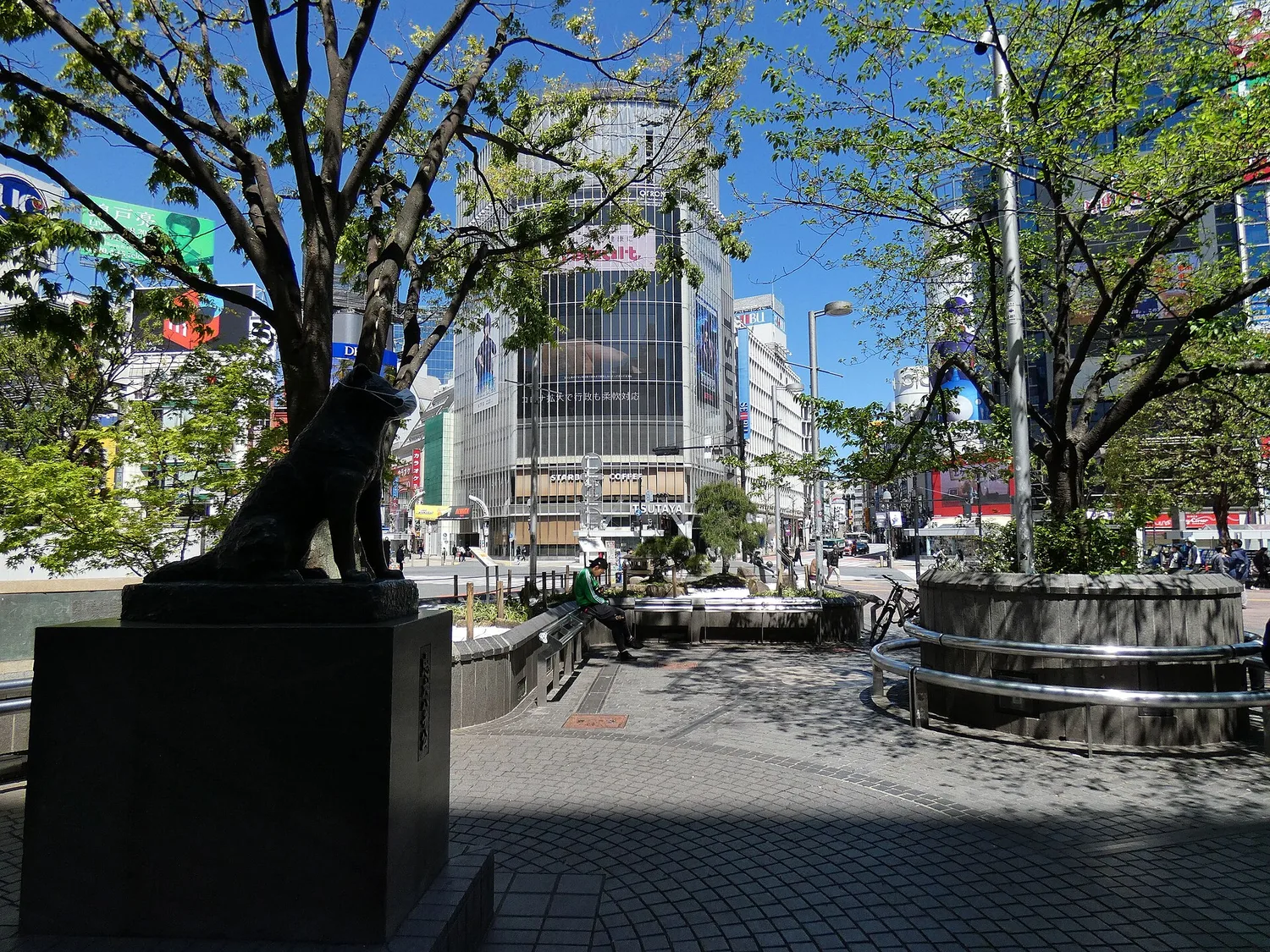 The bronze Hachiko statue on its pedestal in the square outside Shibuya Station, with trees and buildings behind