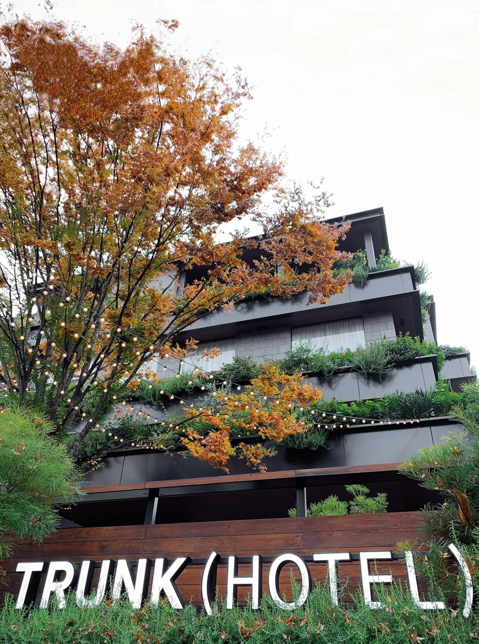 TRUNK(HOTEL) Cat Street seen from below: layered horizontal floors with lines of planting on the terraces, and an autumn tree in front