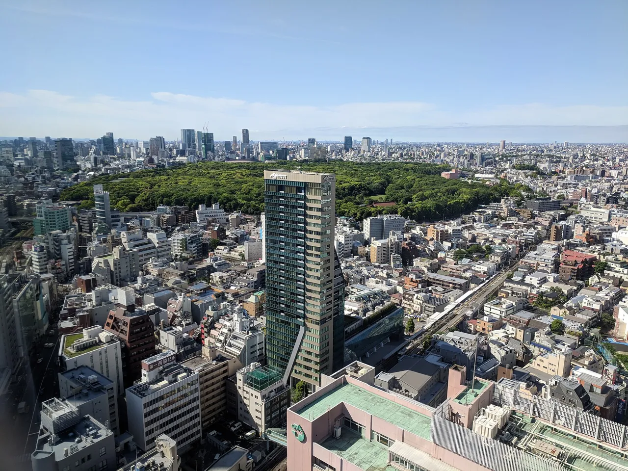 View from a high floor of the Odakyu Hotel Century Southern Tower: the dark green forest of Meiji Shrine spreading beyond the city, with towers in the foreground
