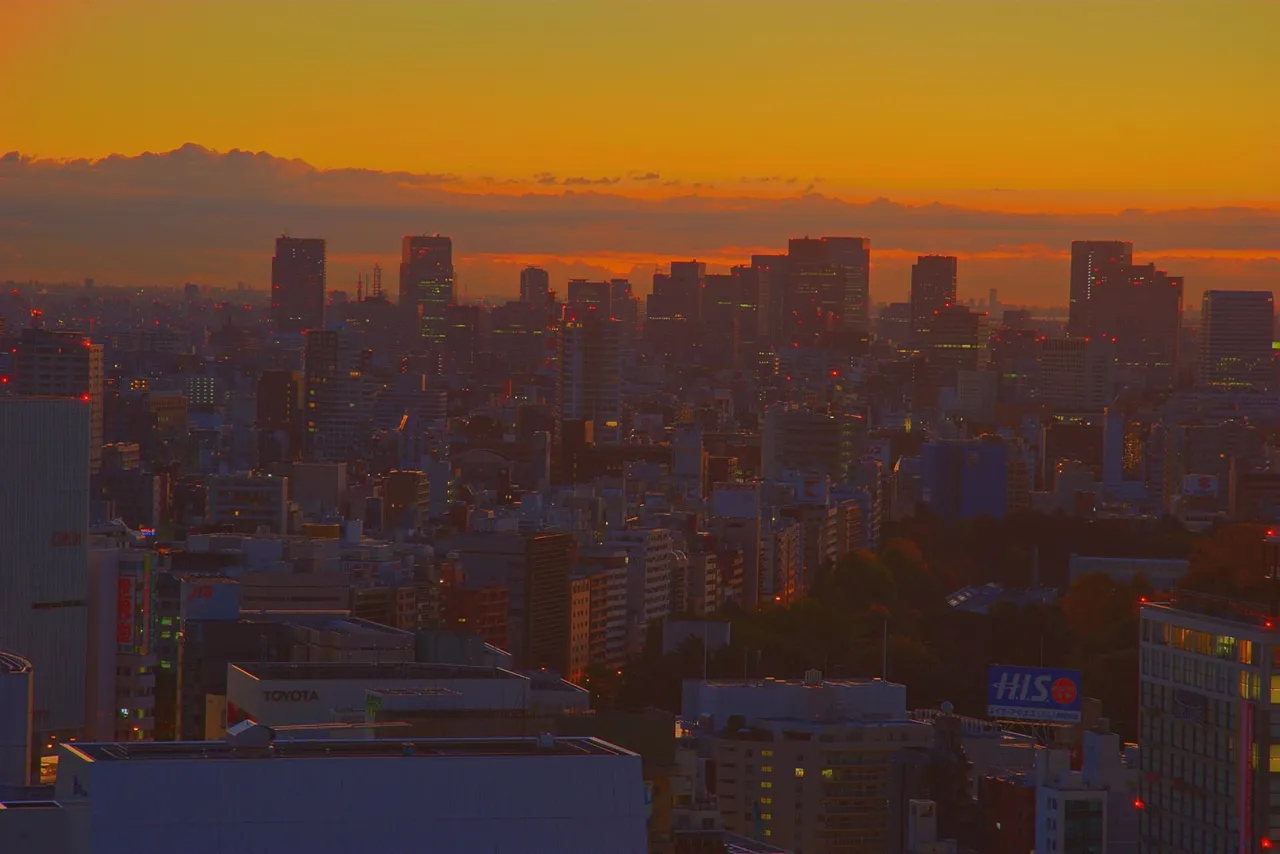 The Tokyo skyline at sunset from the Keio Plaza Hotel, the sky orange above a long line of towers